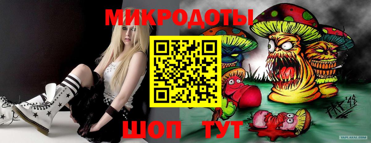 Галлюциногенные грибы Psilocybine cubensis Губаха